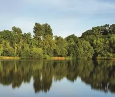 Descarbonização da Amazônia Legal