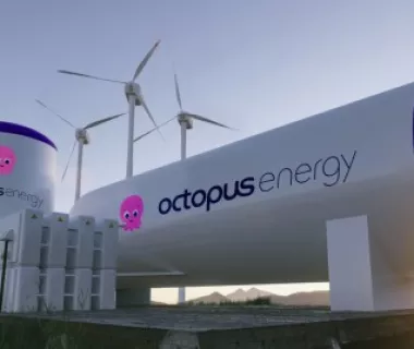 Parceria entre Energisa e Octopus Energy com foco na energia renovável