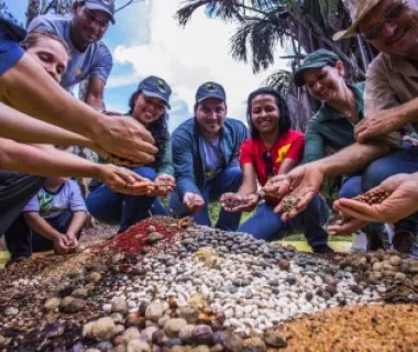 Floresta Viva divulga selecionados para restauração da Bacia do Xingu