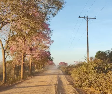 Produtores rurais que recebem desconto da Tarifa Rural devem renovar o Produtores rurais que recebem desconto da Tarifa Rural devem renovar o