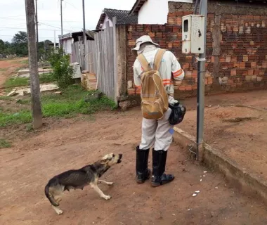 Energisa registra 1.300 alertas contra ataques de cães em Mato Grosso 