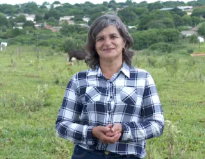 Energia no campo transforma a vida de produtores rurais pelos recantos