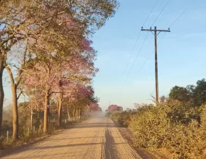 Produtores rurais que recebem desconto da Tarifa Rural devem renovar o Produtores rurais que recebem desconto da Tarifa Rural devem renovar o