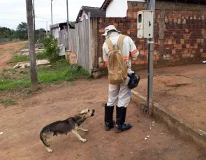 Energisa registra 1.300 alertas contra ataques de cães em Mato Grosso 