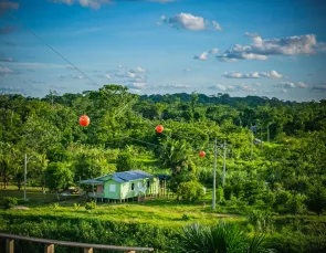 Energisa apresenta projetos na COP-26