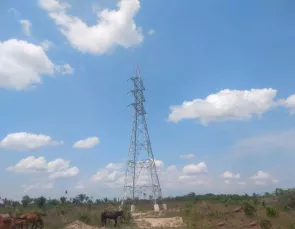 Respeito ao meio ambiente: conheça as medidas de preservação ambiental